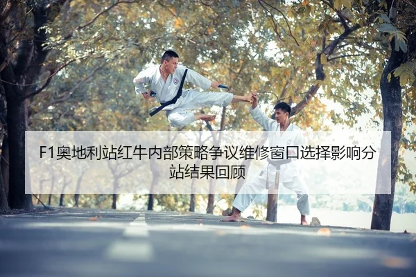 ao-di-li-zhan-hong-niu-nei-bu-ce-lve-zheng-yi-wei-xiu-chuang-kou-xuan-ze-ying-xiang-fen-zhan-jie-guo-hui-gu-2-922.jpg